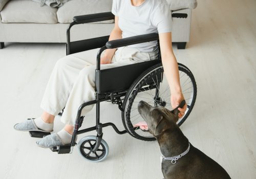 Young woman in wheelchair with dog indoors