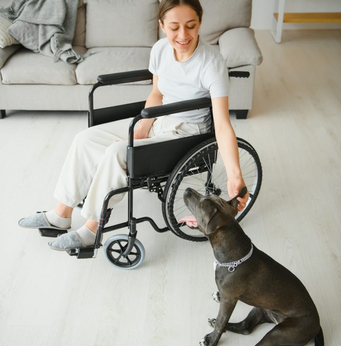 Young woman in wheelchair with dog indoors